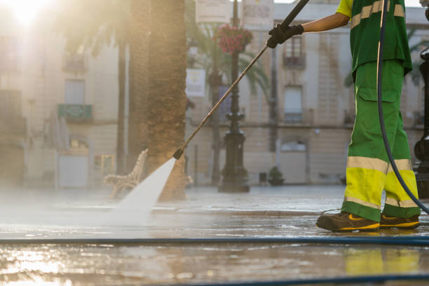 Best Solar Panel Cleaning  in Encantada Ranchito El Calaboz, TX